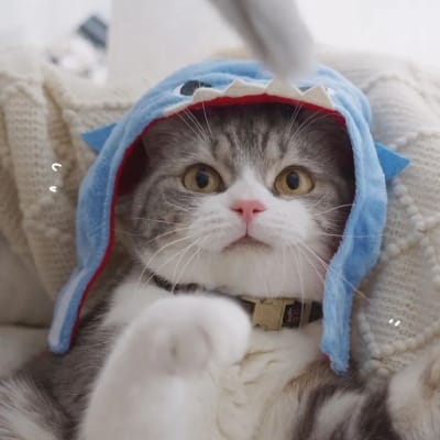 Alamiro Alarcón avatar